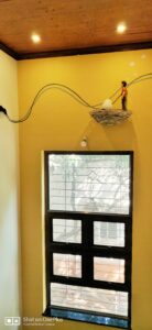 img 20190121 140133 (2)